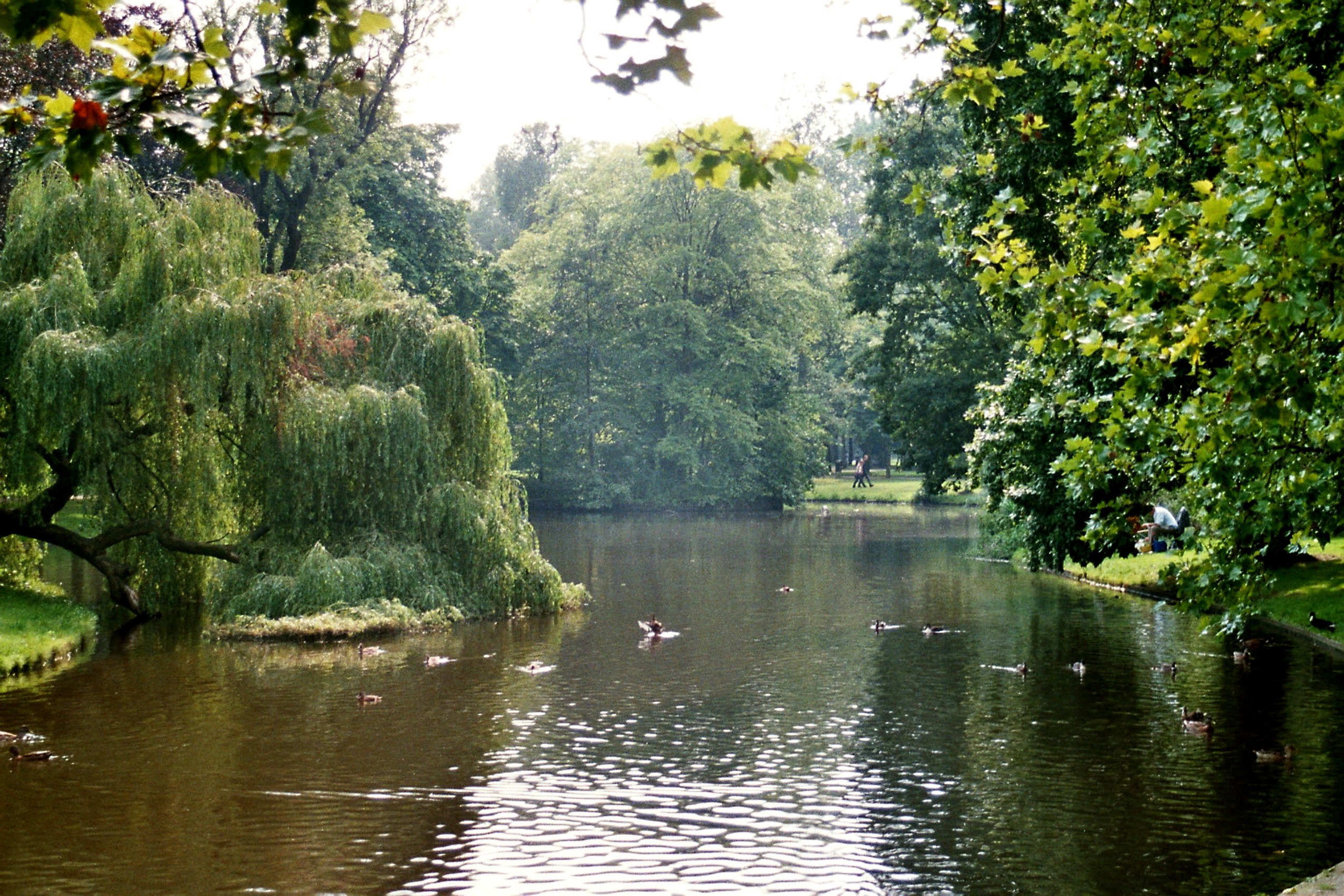 People relaxing in Vondelpark Amsterdam on a sunny afternoon